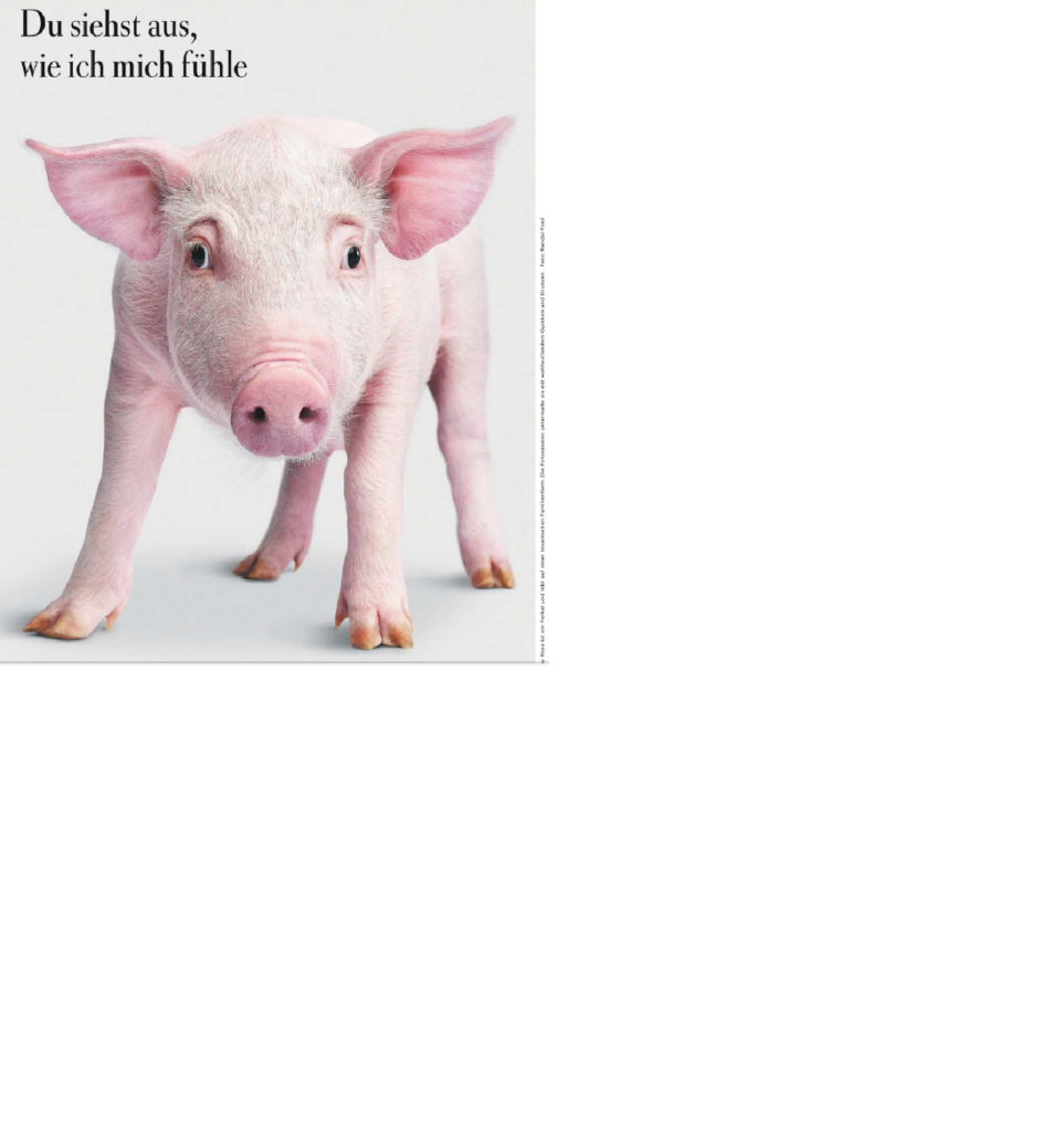 Das aktuelle Bild hat keinen Alternativtext. Der Dateiname ist: baby-e1776256011113.png